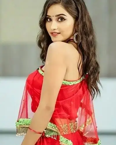 Call Girls Service Vanur